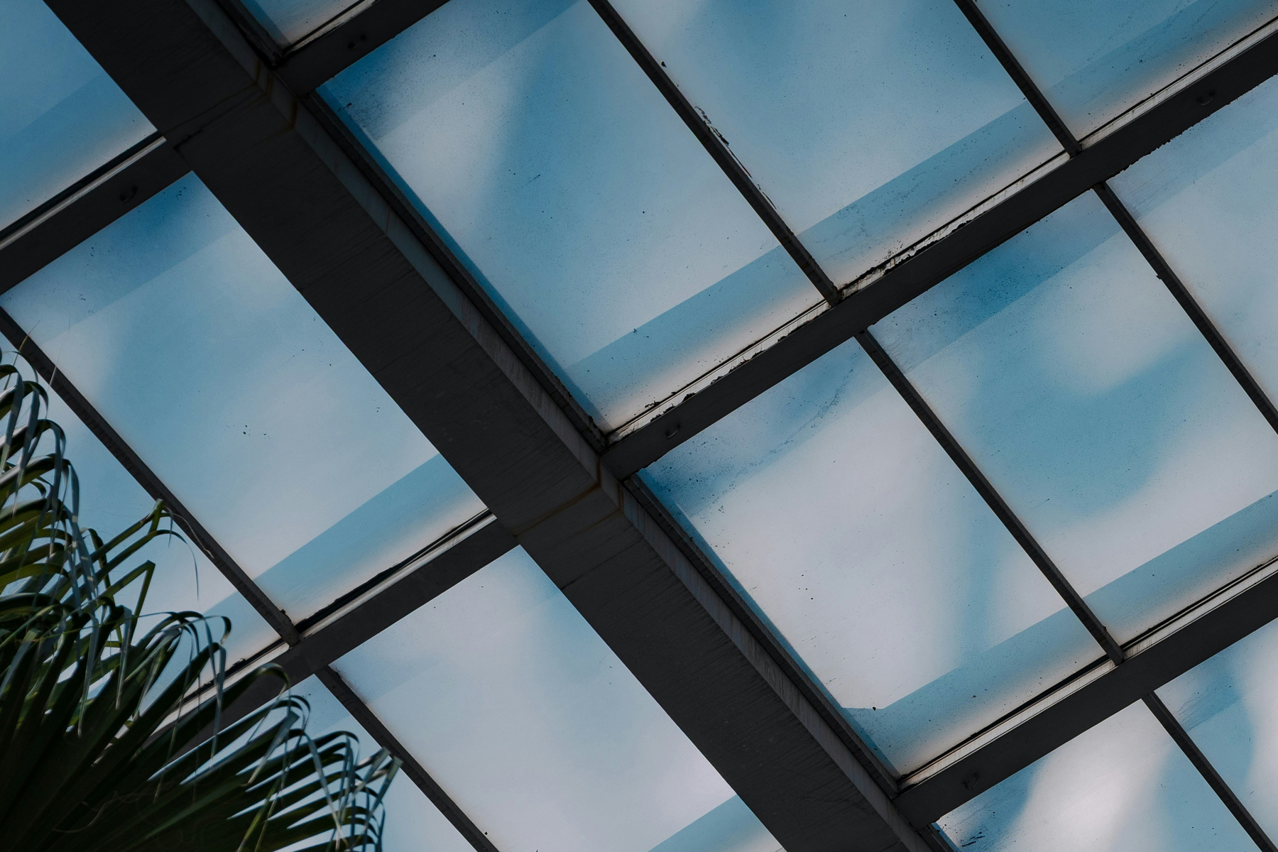 Reinigung eines Glasdachs im Außenbereich